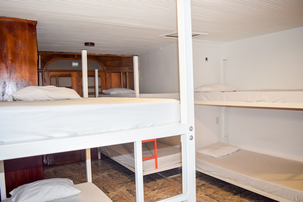 Wonderland Party Hostel 8/51