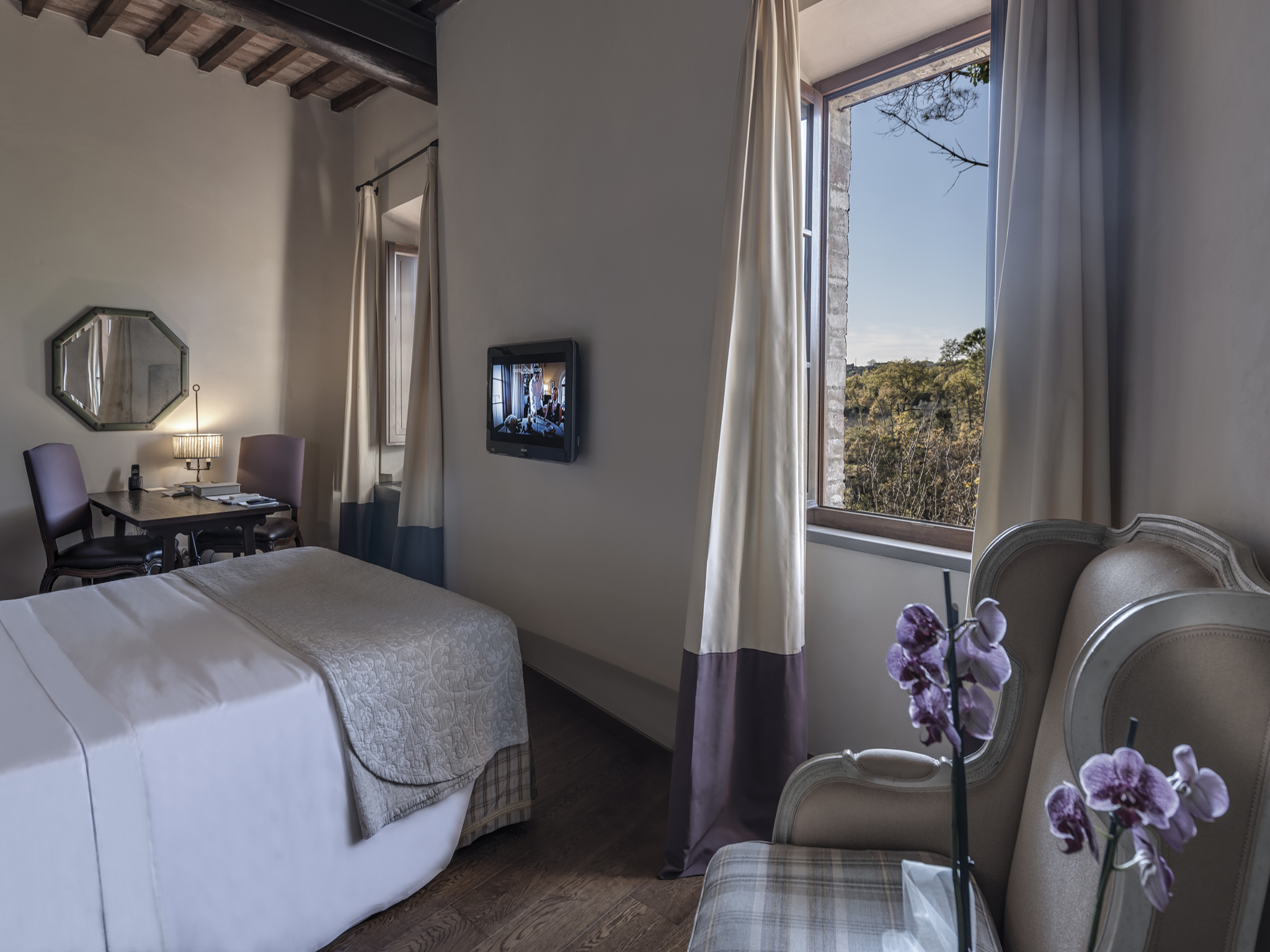 Superior, Double or Twin Bed