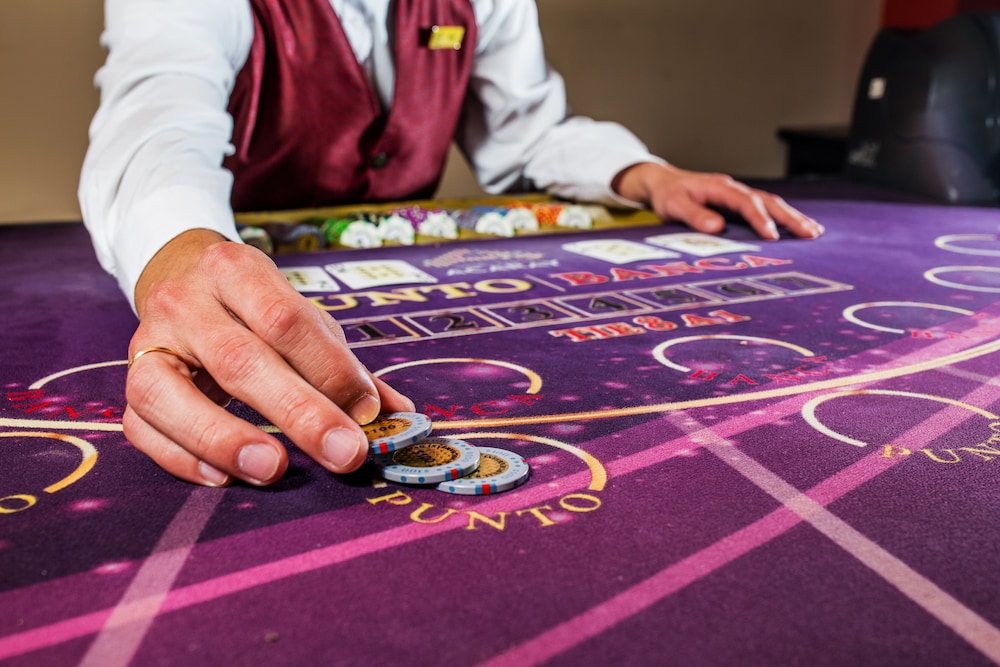 Hotel Casino Acaray 36/65
