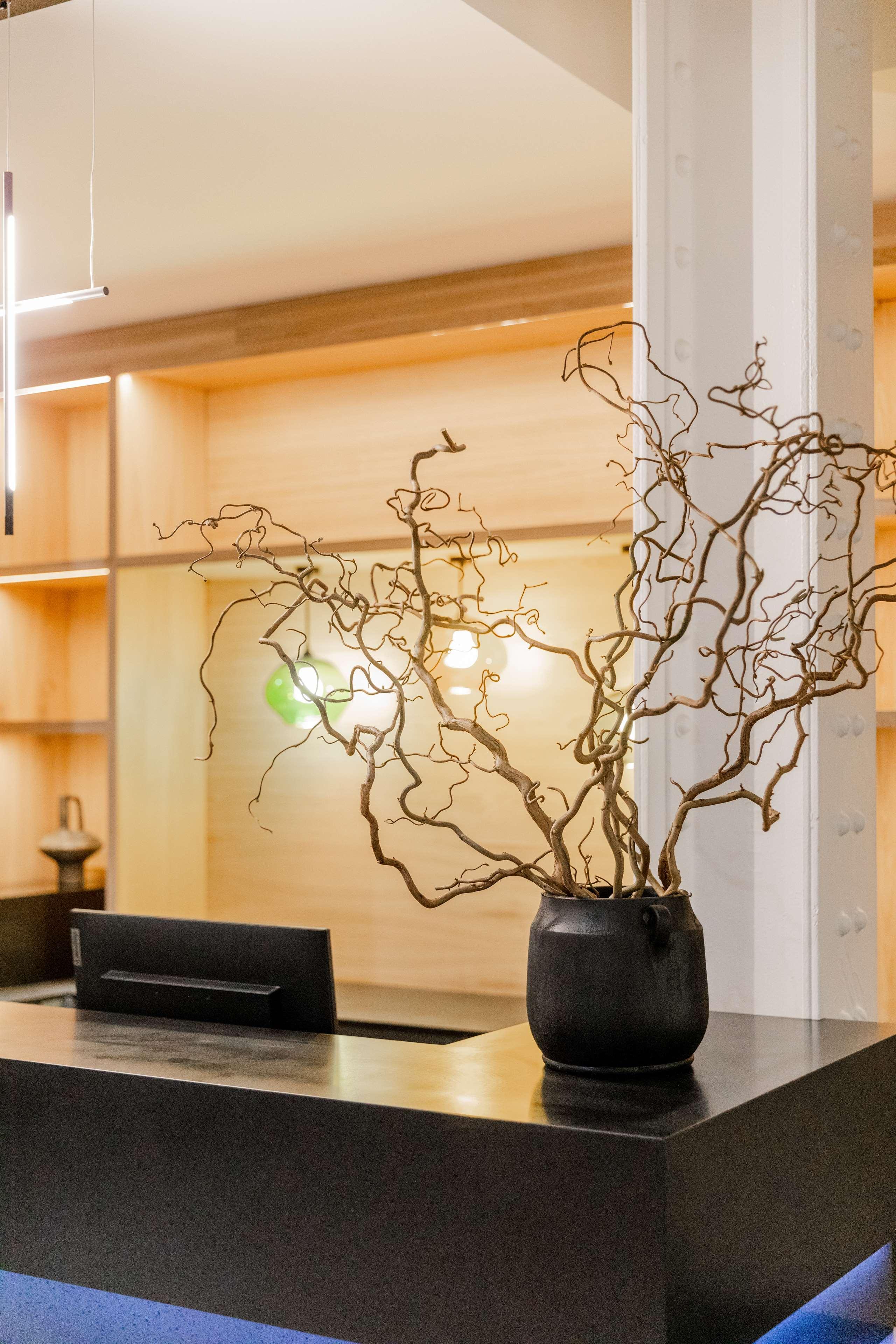 School Lane酒店in Liverpool ONE(School Lane Hotel in Liverpool ONE) 图片5
