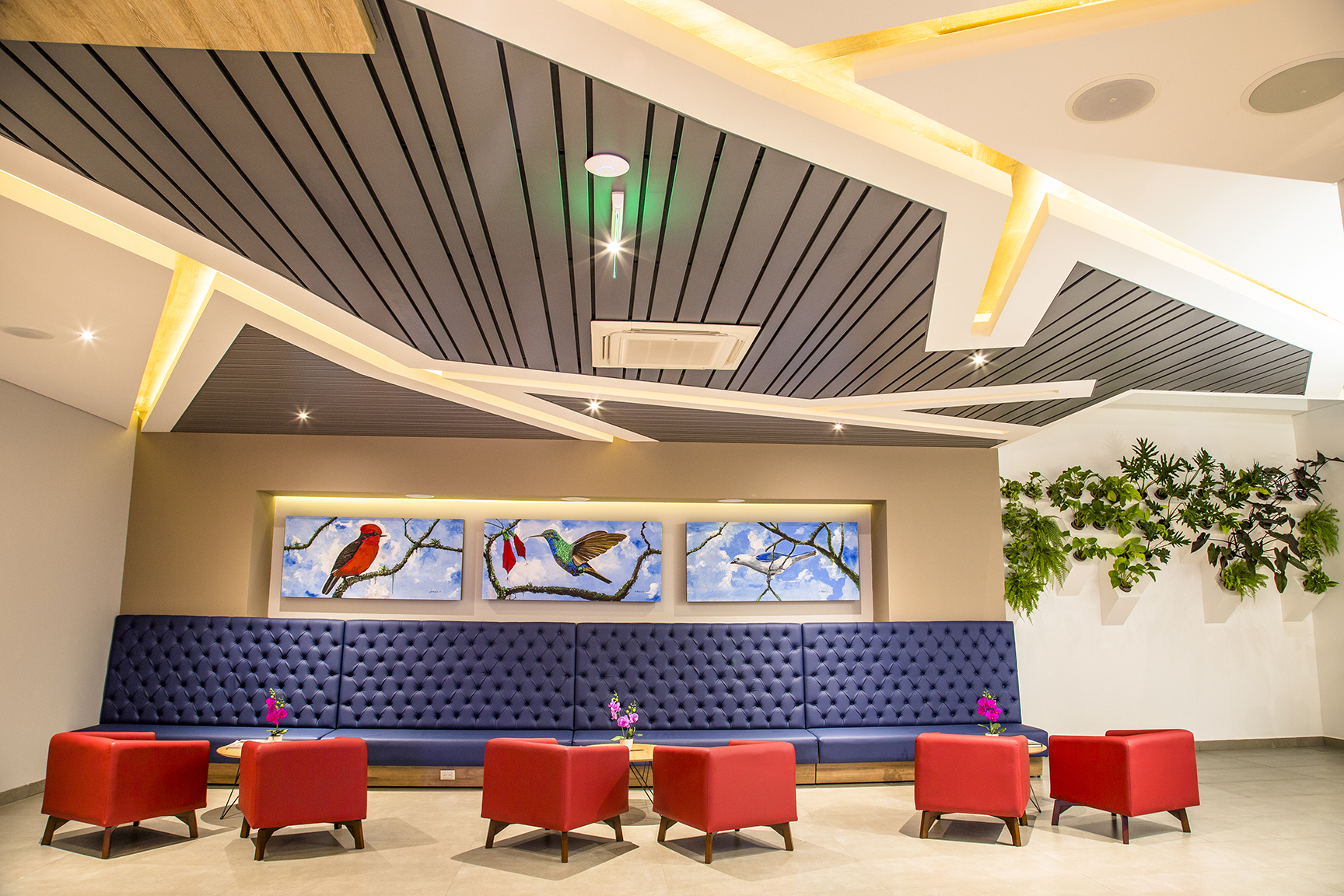 Hotel Pance 122 54/61