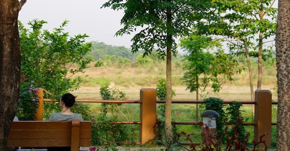 River View Jungle Camp 40/50
