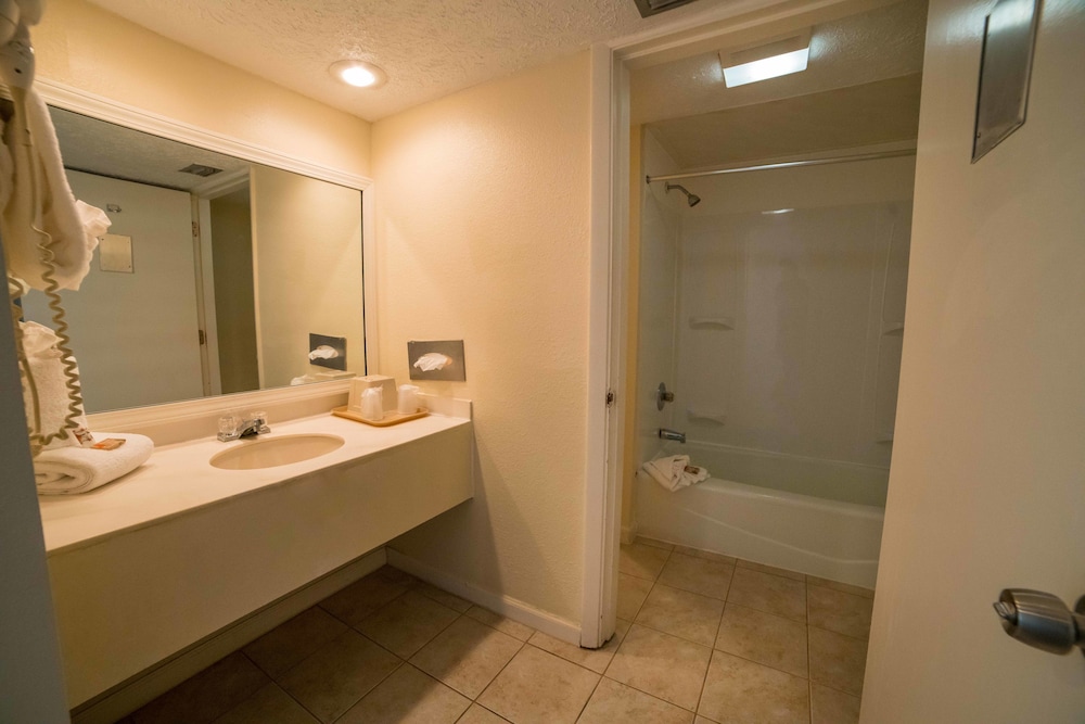 Seahaven Beach Hotel 20/69