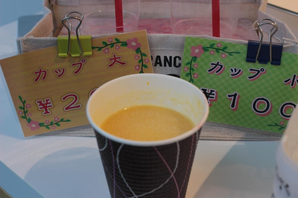 Guest House Coco Hiroshima - Hostel Caters To Women 30/44