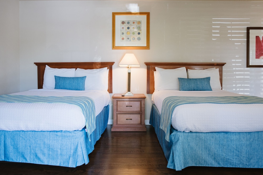 Alamo Inn Suites 26/61