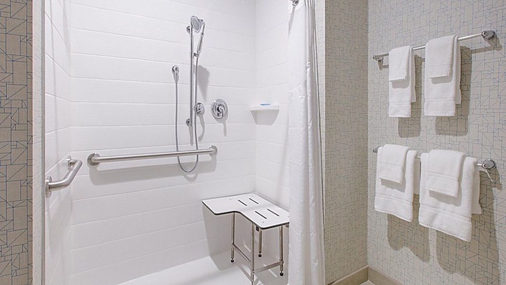 Holiday Inn Express Hotel Suites Mount Pleasant 19/61