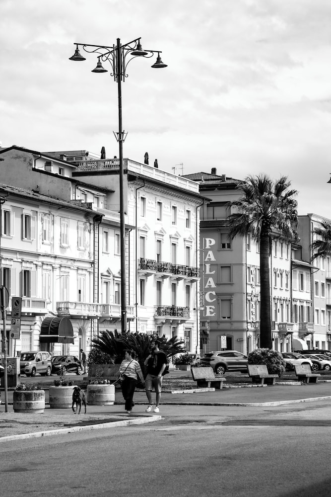 Palace Hotel Viareggio 40/60