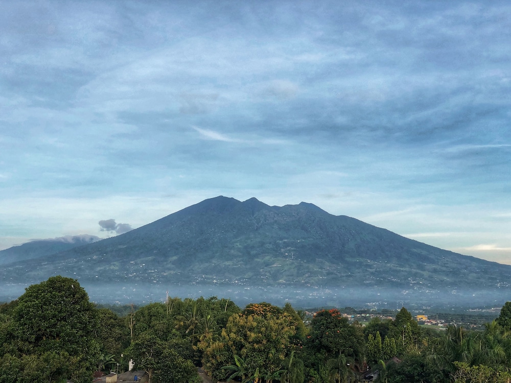 ibis Styles Bogor Pajajaran 57/60