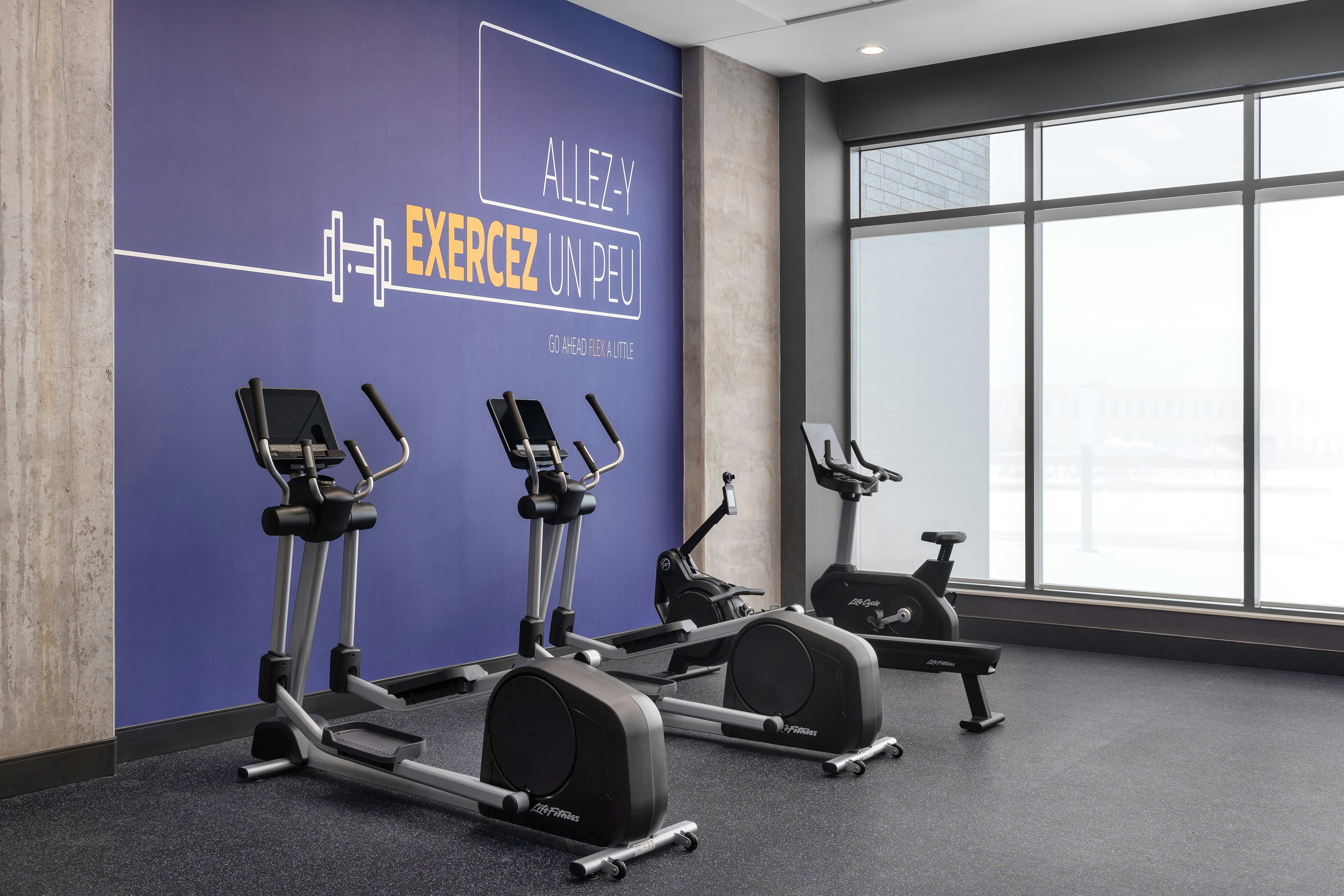Holiday Inn Express MONTREAL AIRPORT - ST-LAURENT 30/62