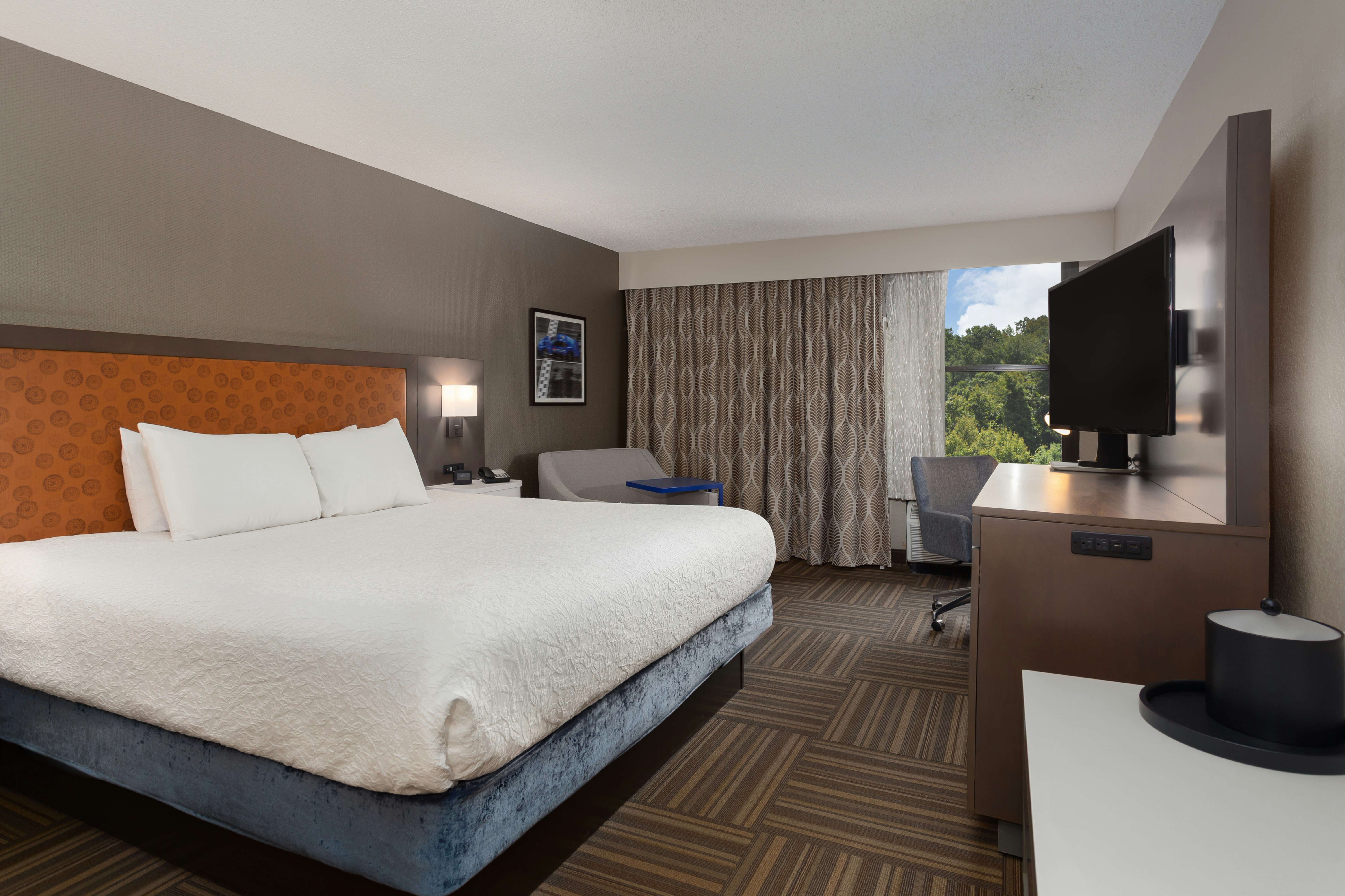 Room, King Bed