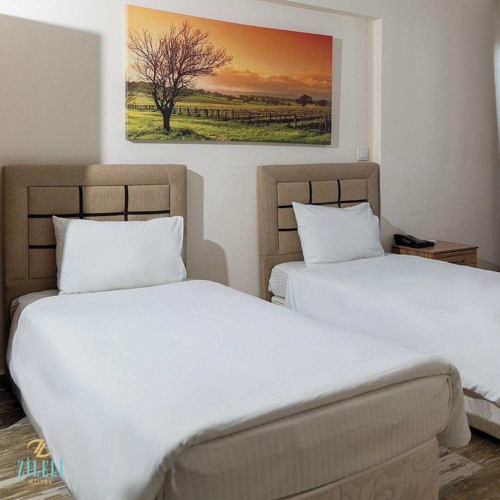 Hotel Zileli 33/71