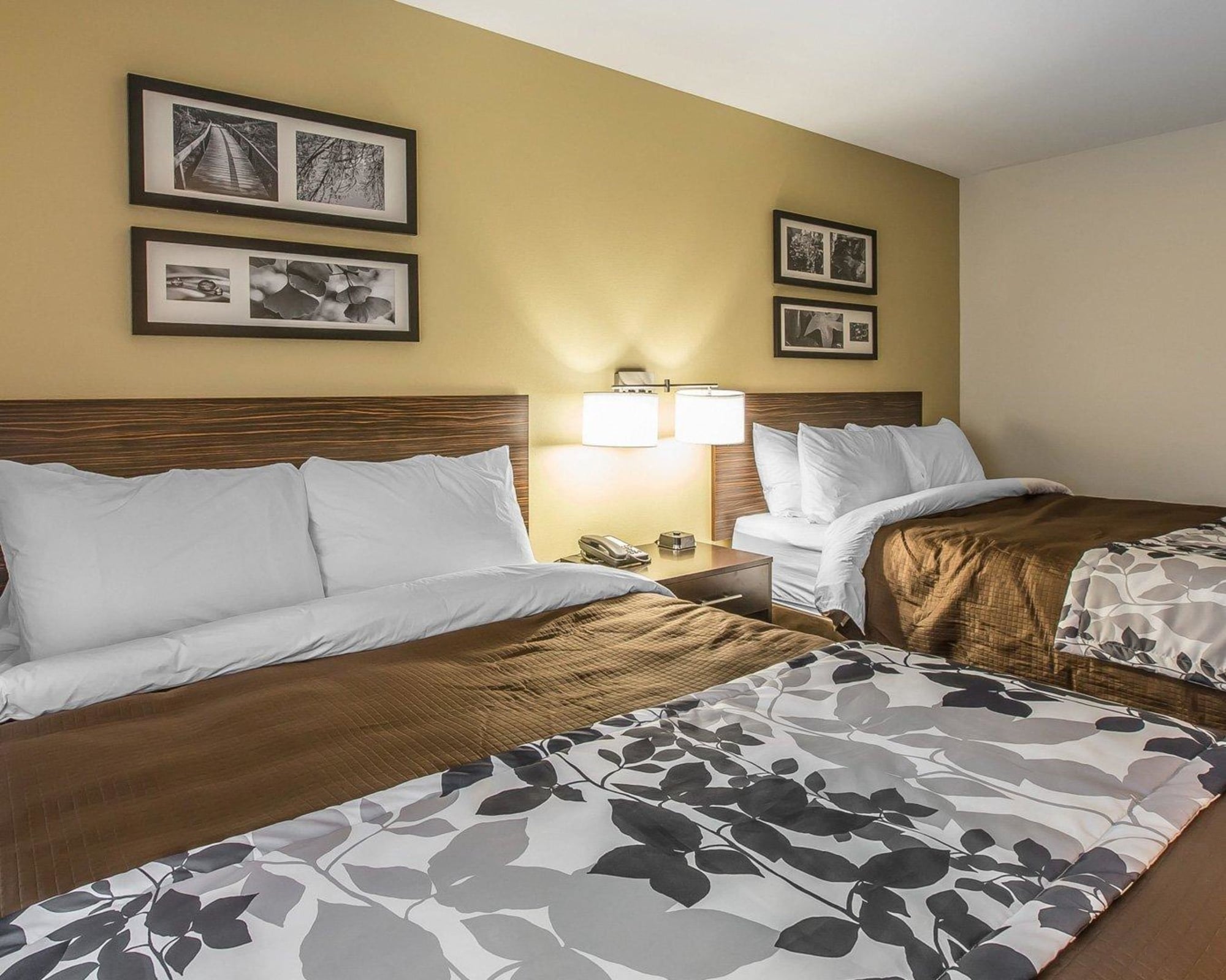 Standard, 2 Queen Beds, Sleep Inn & Suites Jasper 4/5