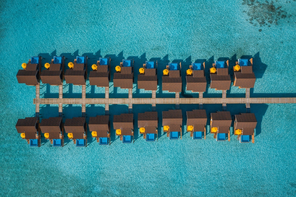 Dhigufaru Island Resort 39/62