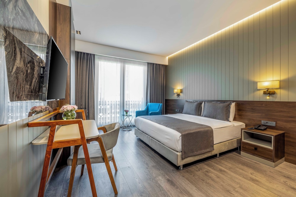 Ezkar Bathonea Art Istanbul Hotel 13/60