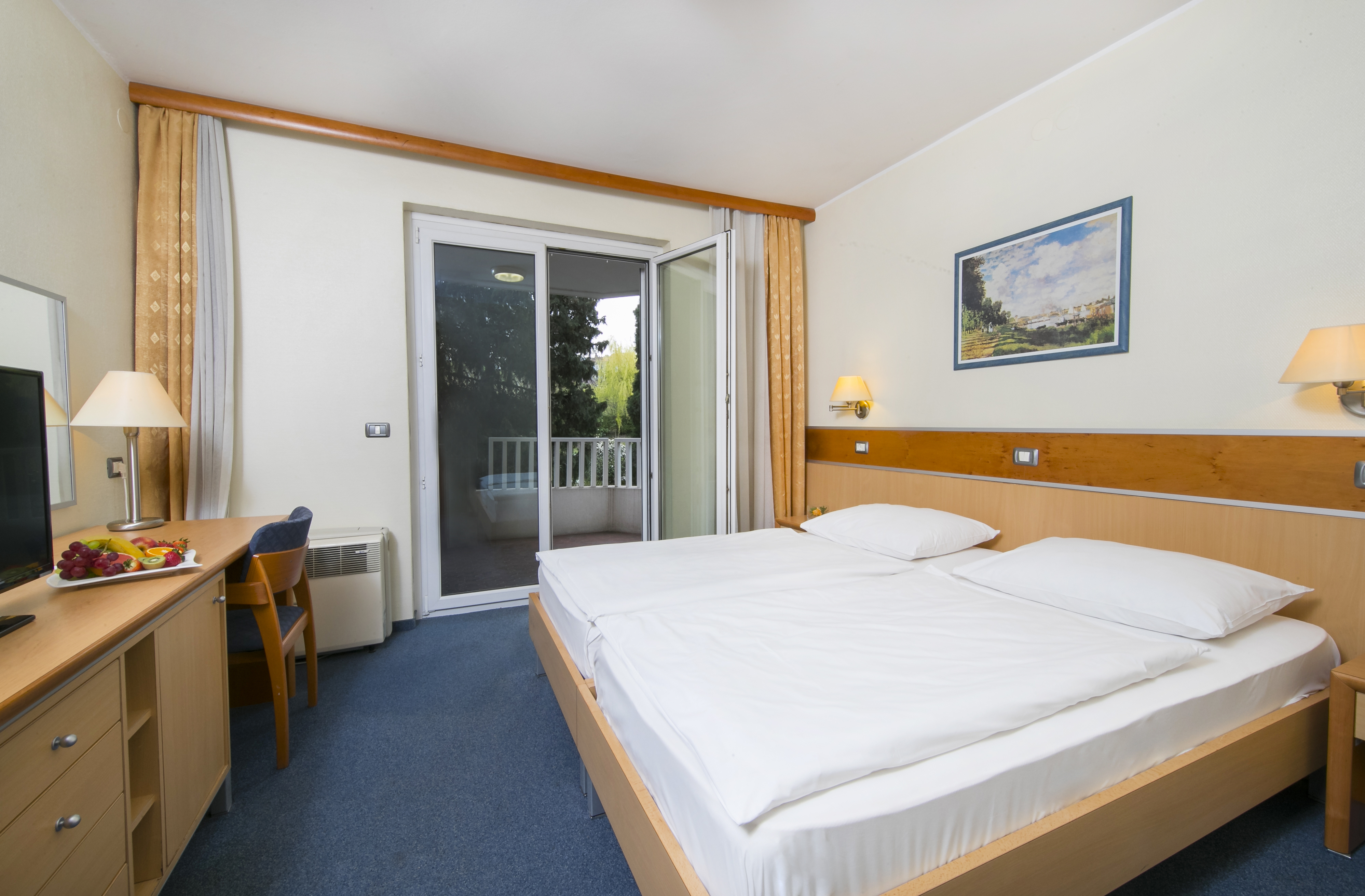 Superior, Double or Twin Bed