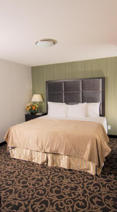 Paradise Inn and Suites Redwater 4/11