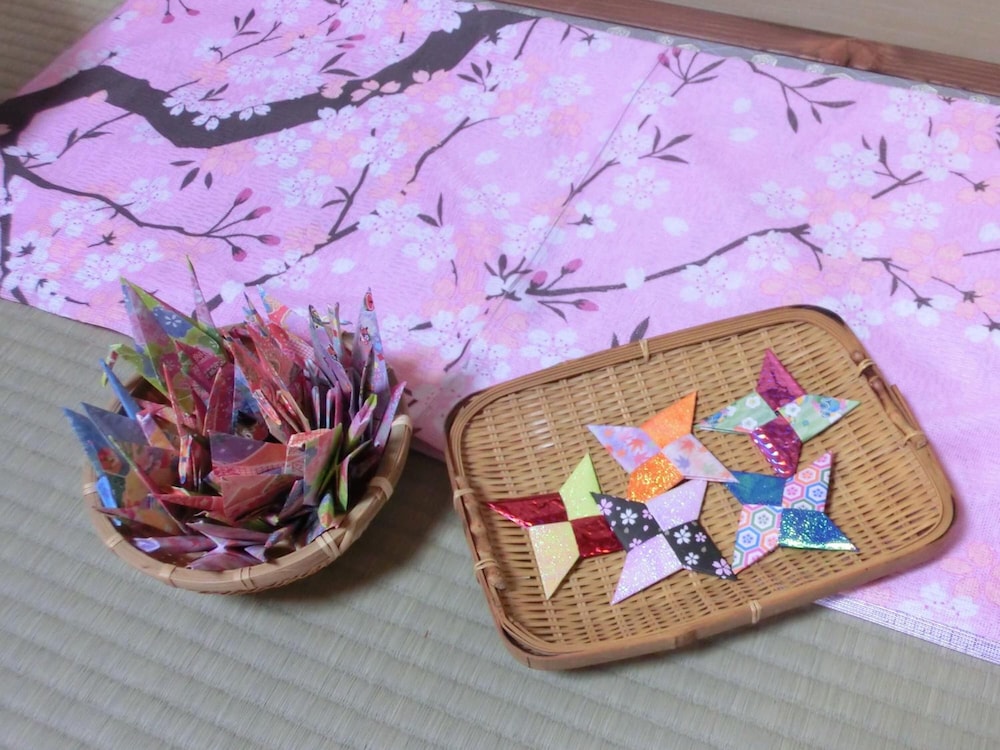 Takayama Ninja House photo3