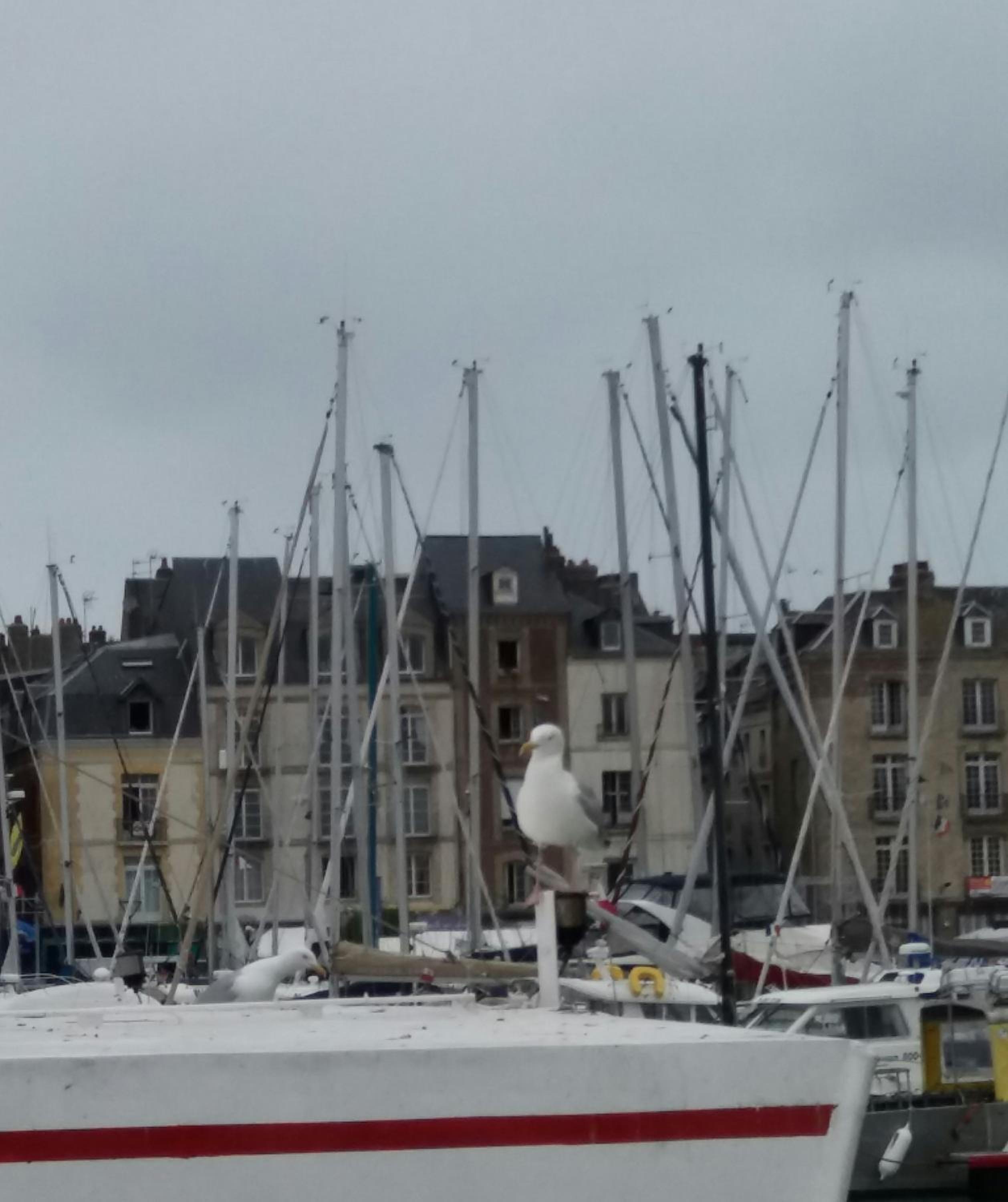 EGG HOTEL - HOTEL LES GENS DE MER Dieppe 43/48