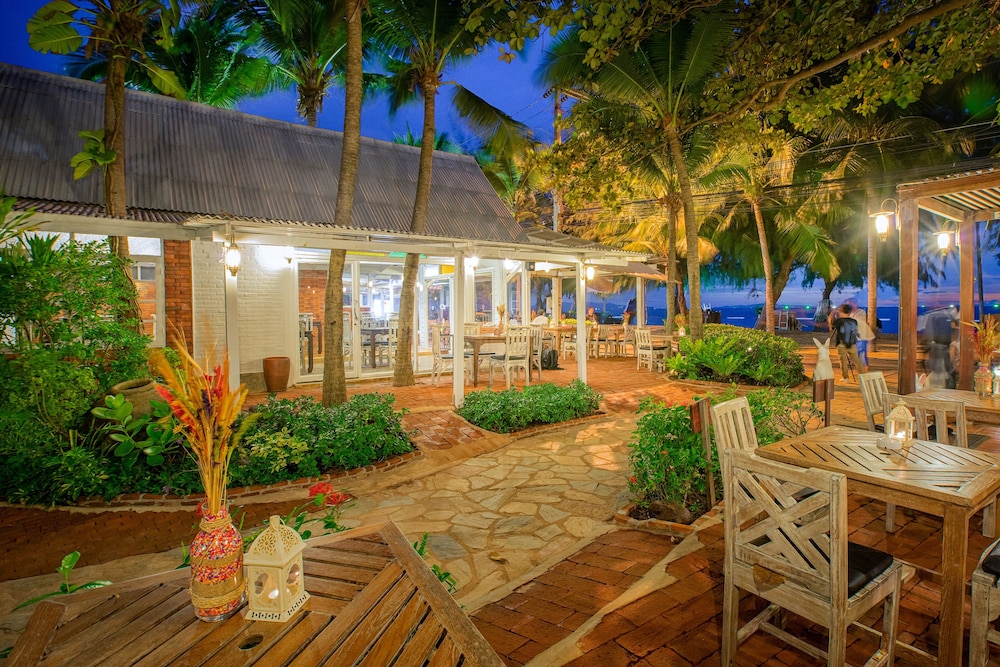 Rabbit Resort 7/50