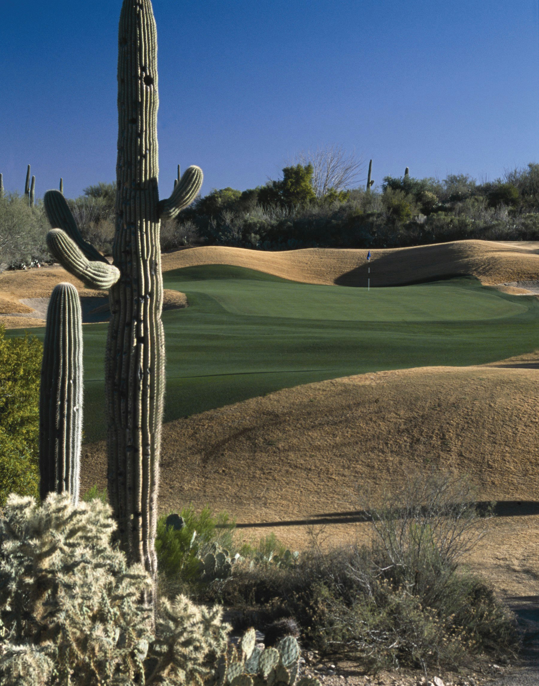 Starr Pass Golf Suites 47/50