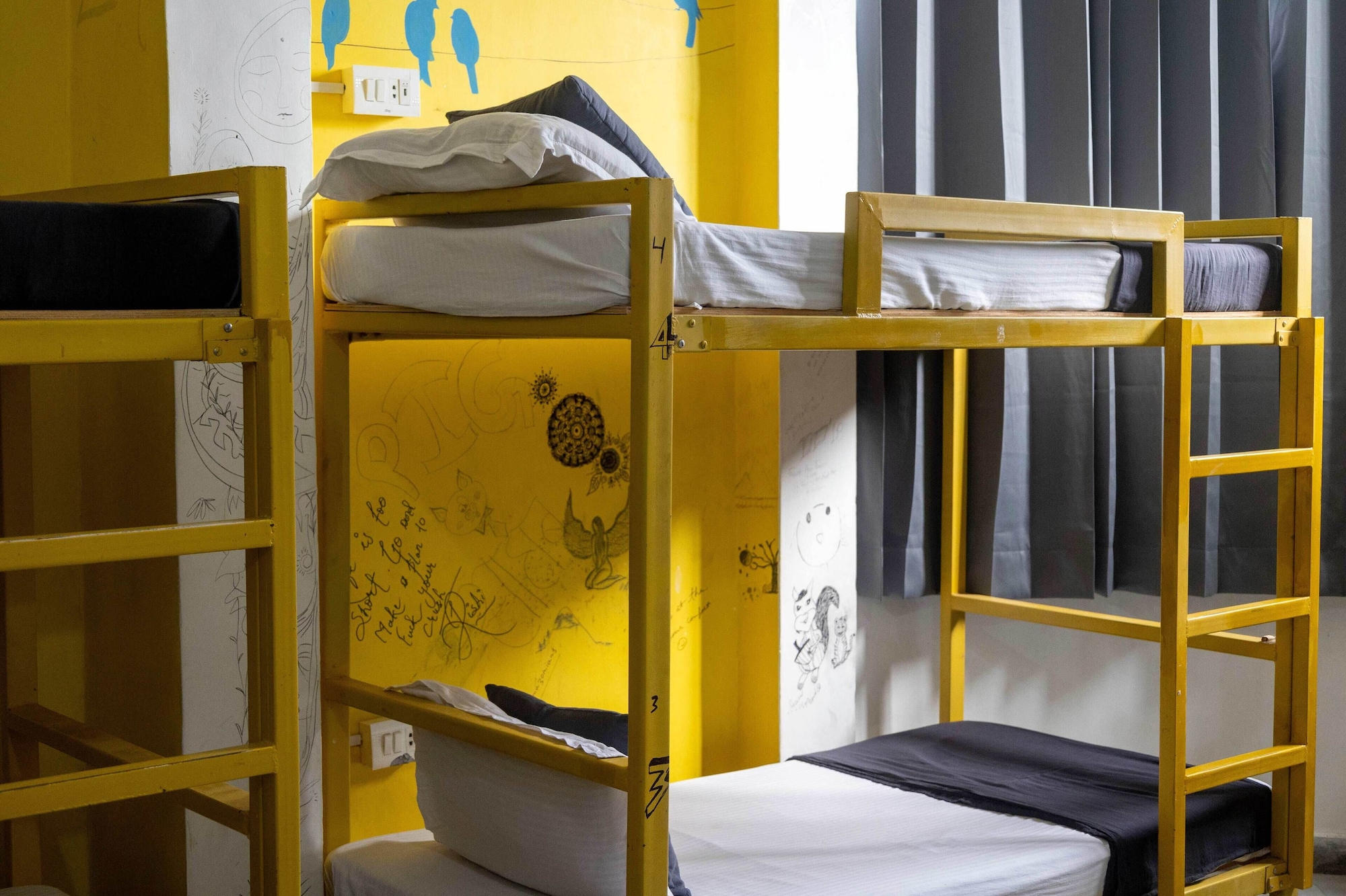 MIXED DORM, BASIC