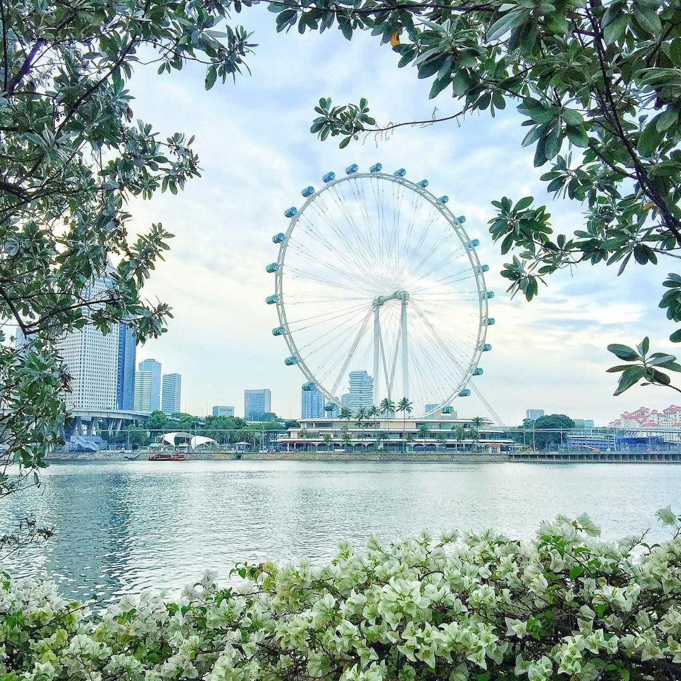 M Social Singapore 74/81