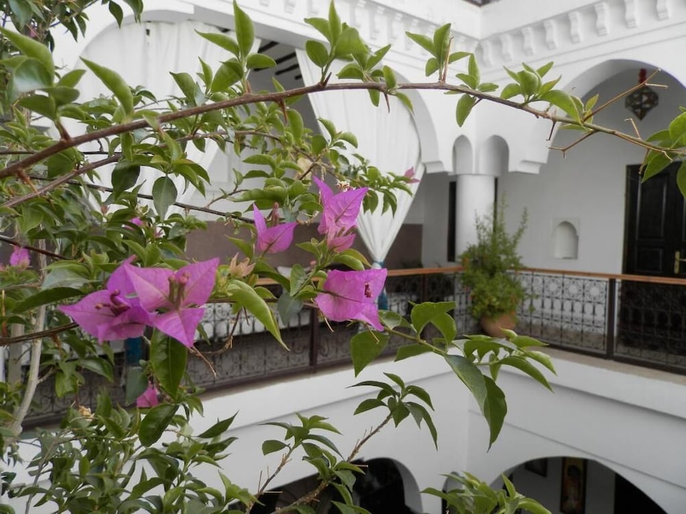 Riad Ailen 6/50