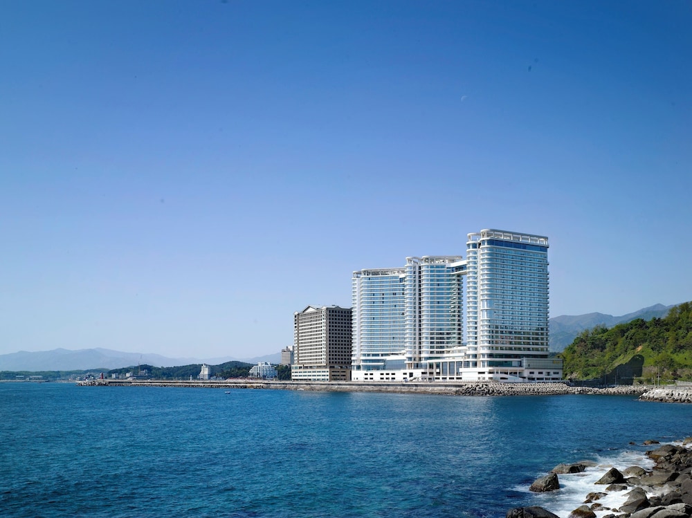 Cassia Sokcho 51/54