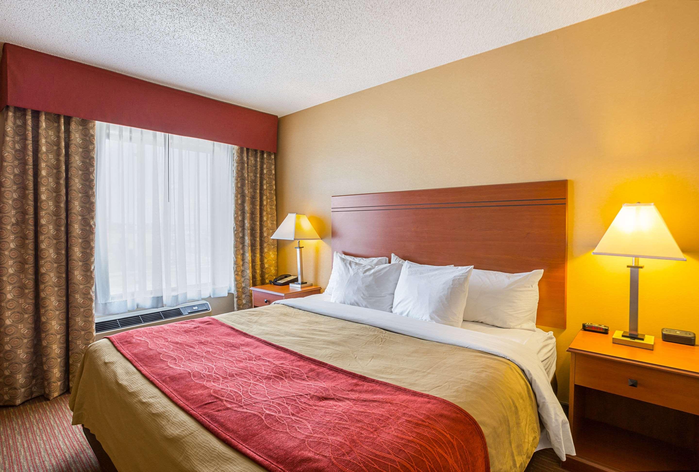 Suite, King Bed