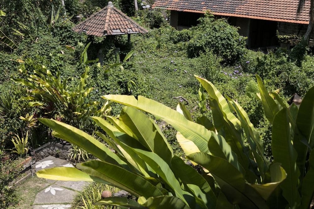 Murni's Houses And Spa 63/71