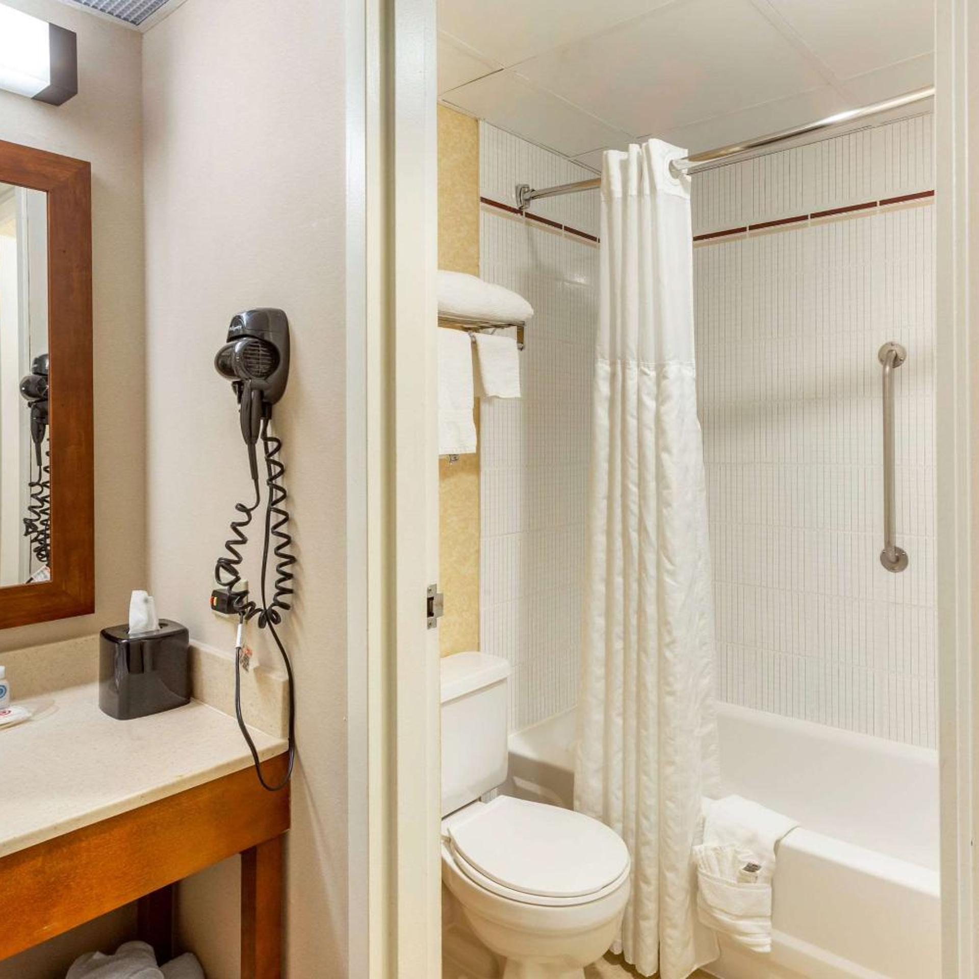 جناح بسرير مزدوج مع أريكة، Comfort Suites Oakbrook Terrace - Chicago West 5/5