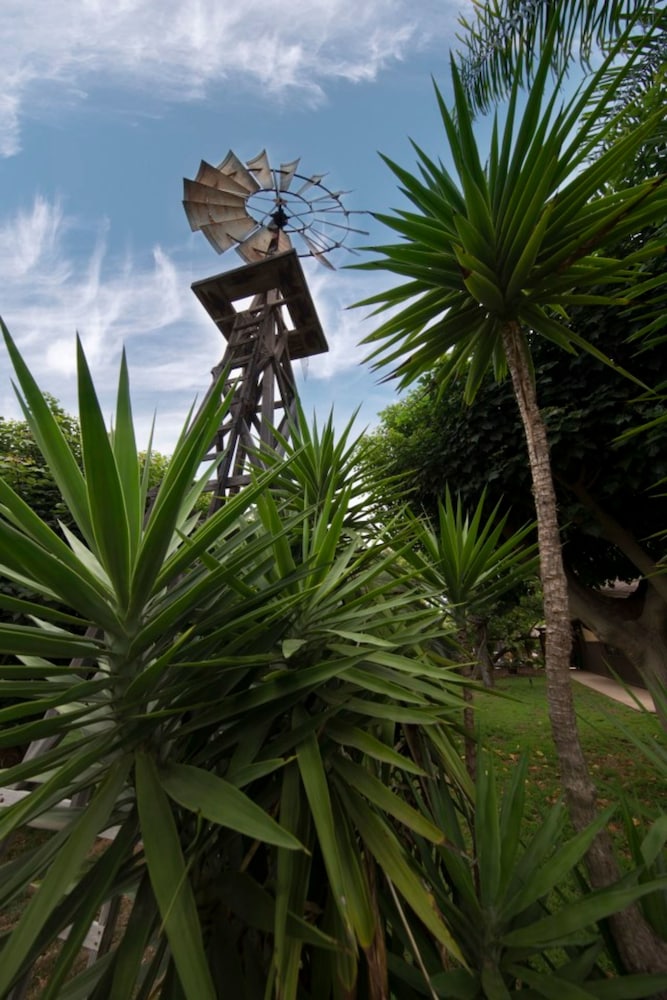 Coral Tree House 24/34