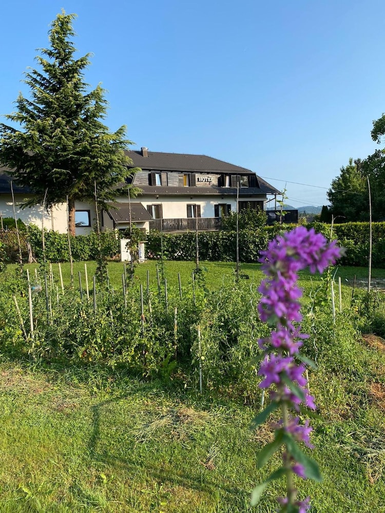 Boutique hotel Pohorje 4/50
