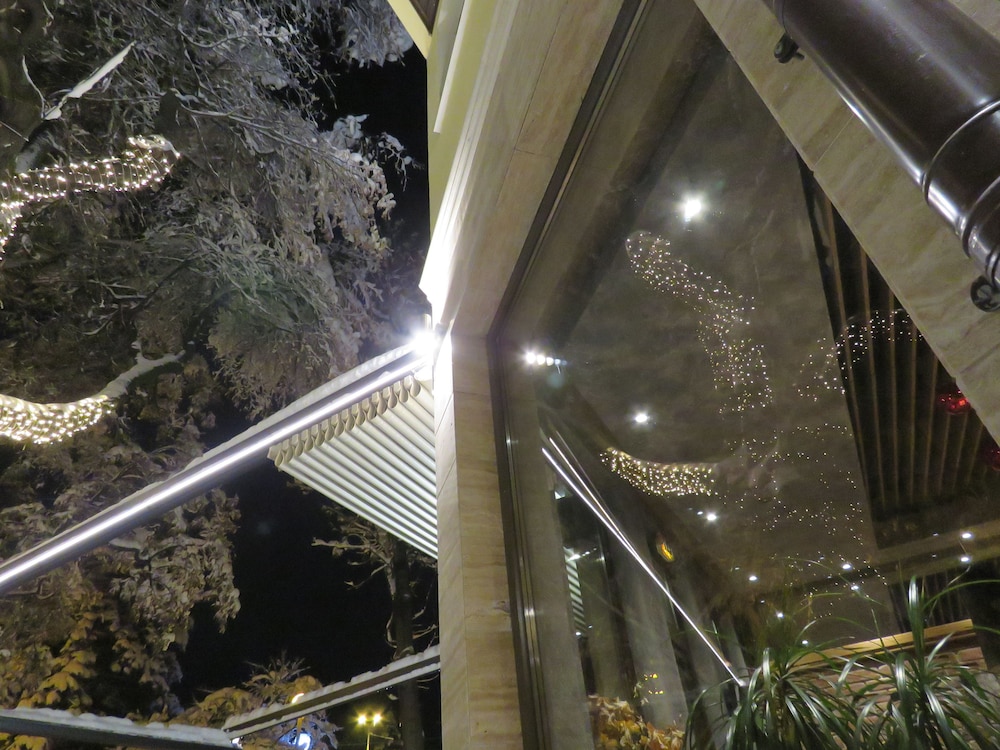 Hotel Villa Boyana 19/39