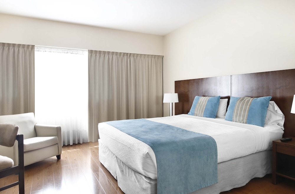 Cyan Hotel de Las Americas 20/50