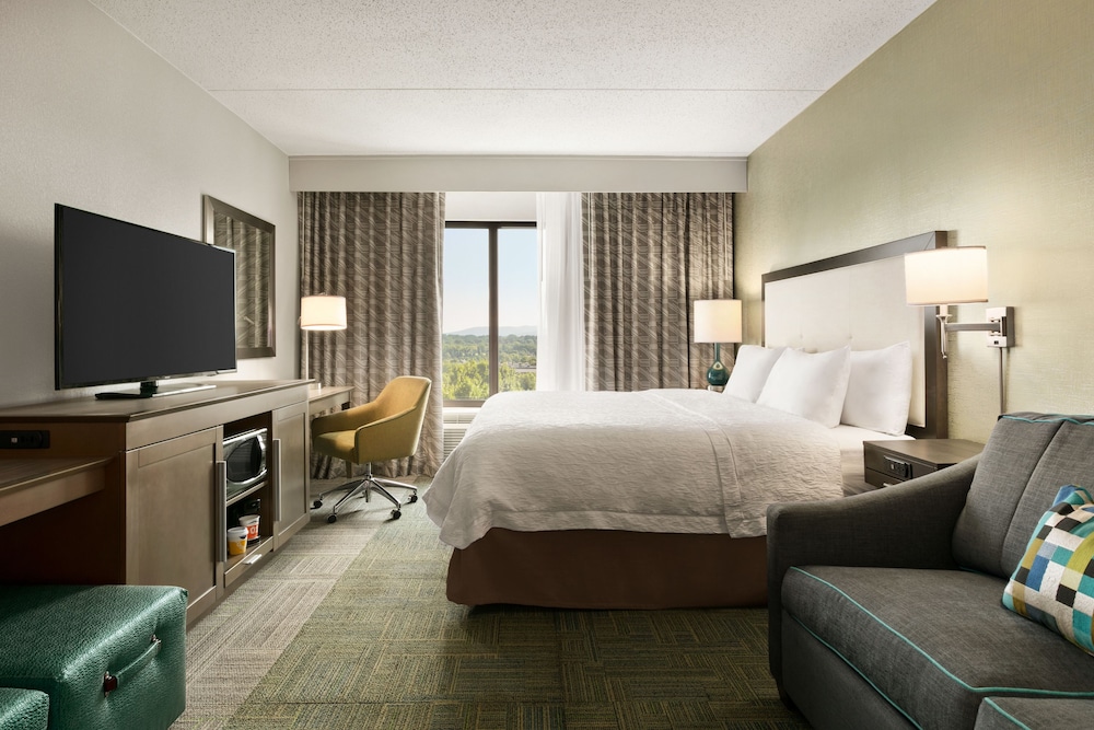 Studio, King Bed, Sofa, Hampton Inn Reading/Wyomissing 2/3