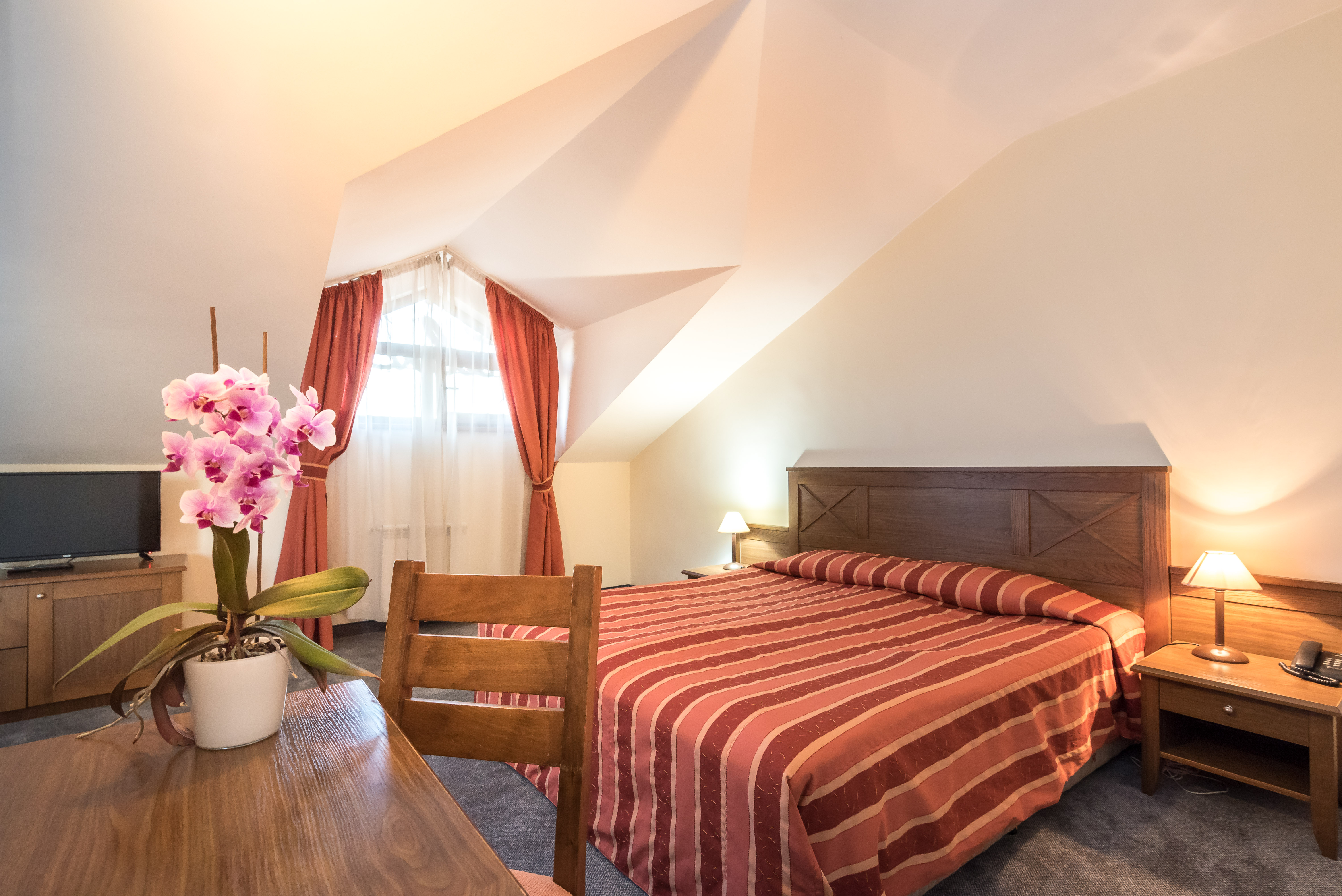 Evelina Palace Hotel 15/49