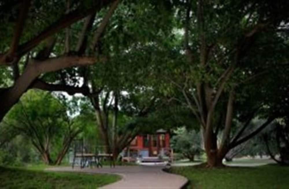 Coral Tree House 25/34