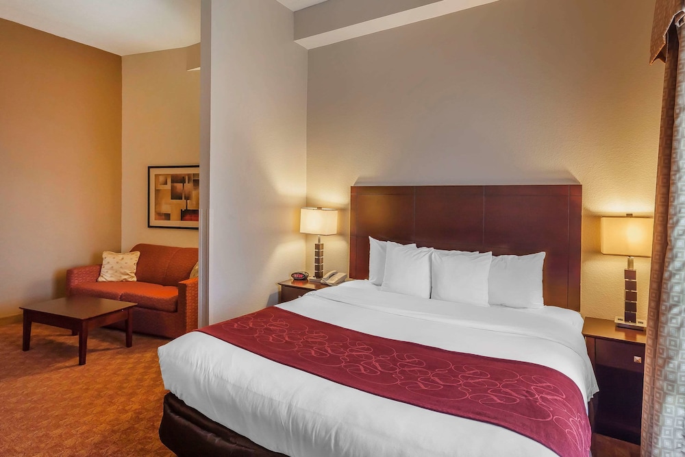 Comfort Suites Suffolk Chesapeake 15/47
