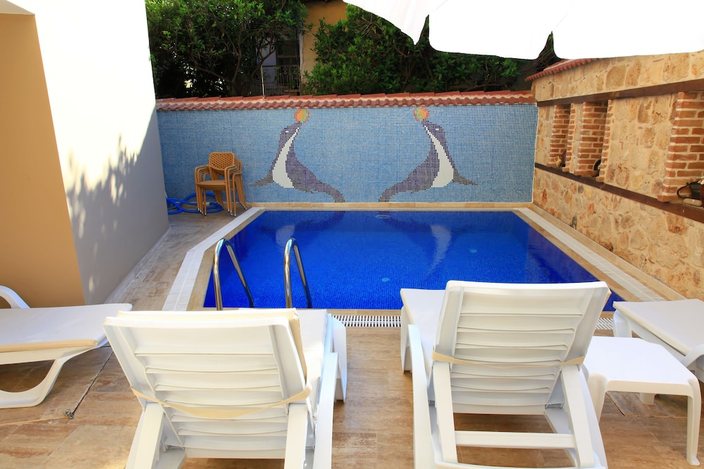 Bacchus Pension 19/49