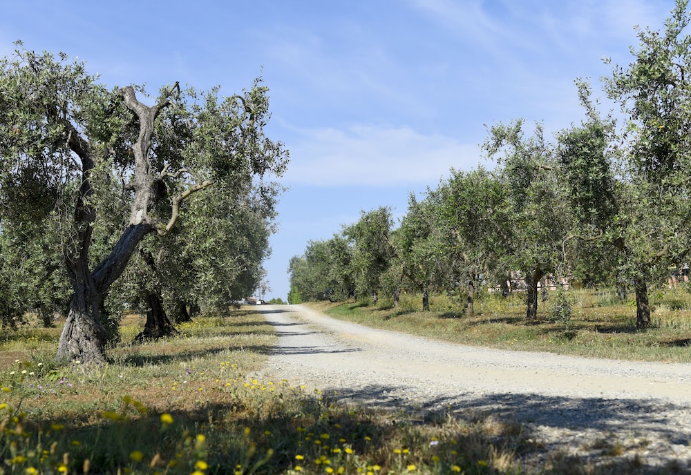 Agriturismo Il Laghetto 30/37