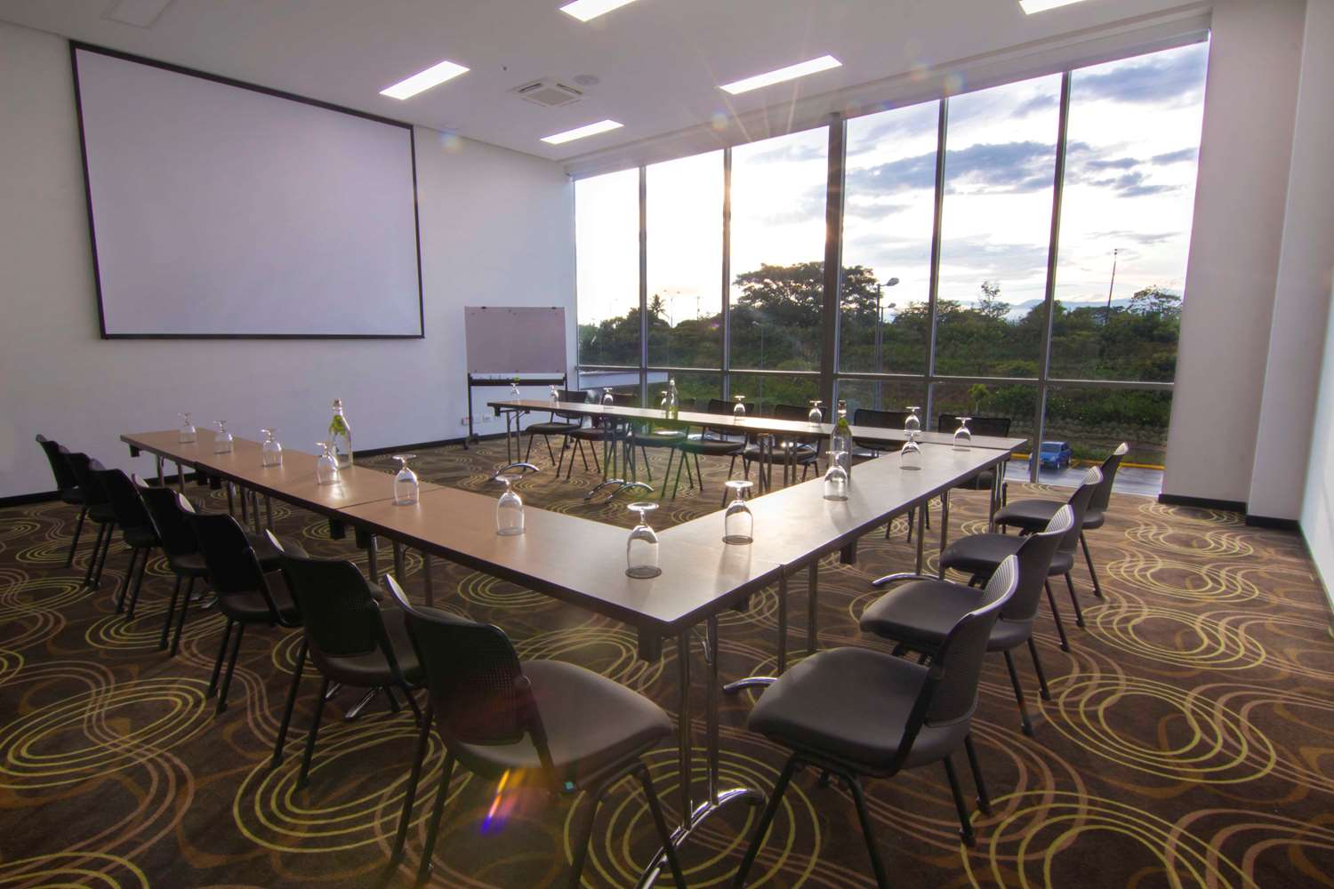 Sonesta Hotel Pereira 28/40