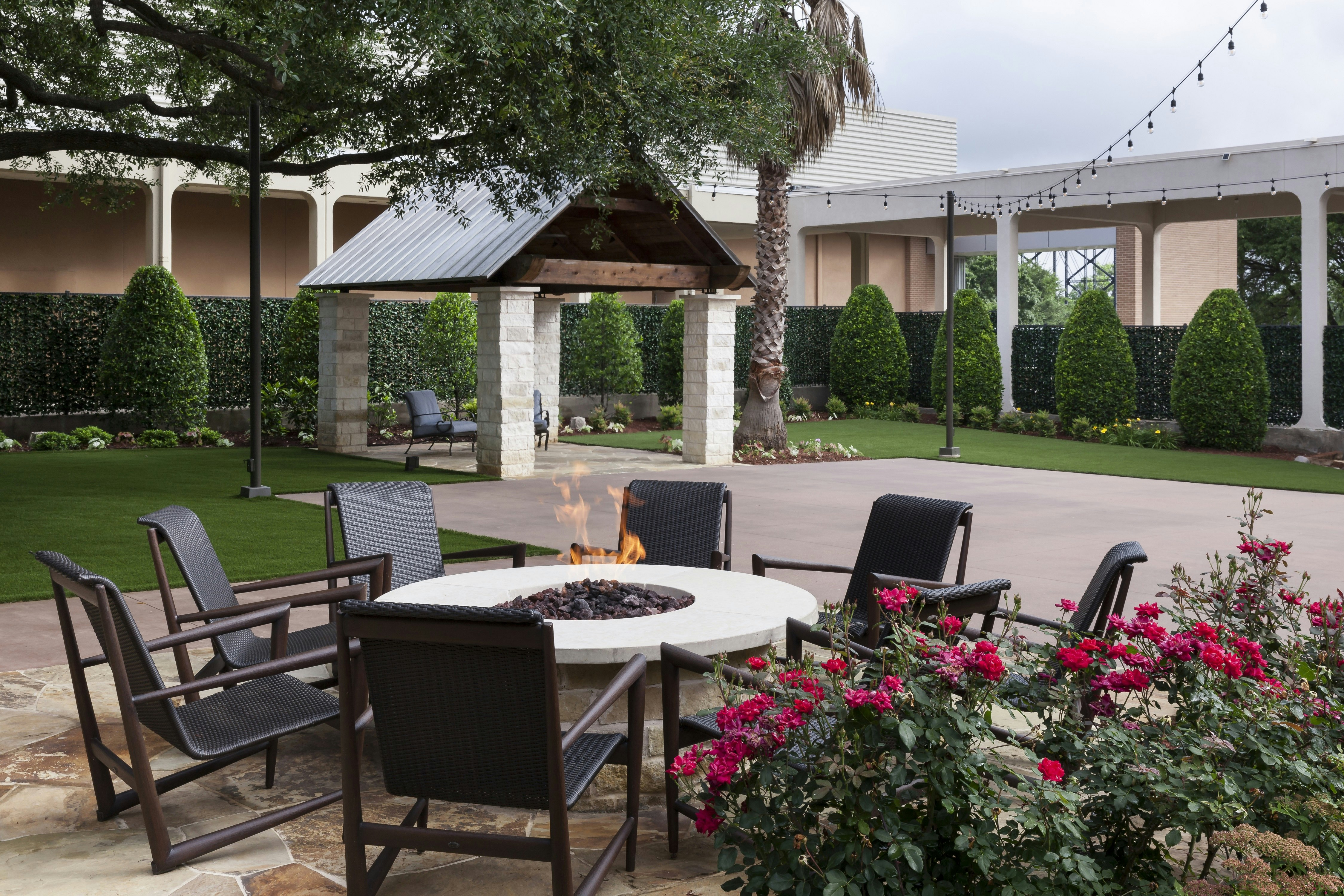 Hilton Waco 20/50