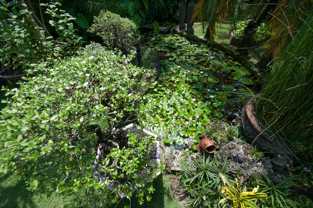 Pondok Agung Bed & Breakfast 57/71