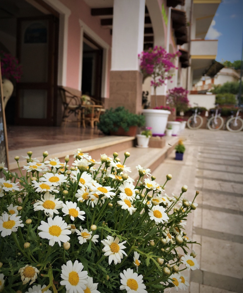 HOTEL LE TRE CARAVELLE 47/50