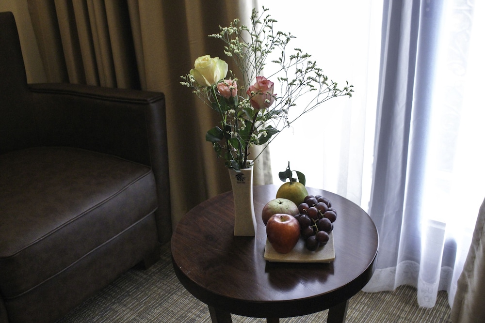 Phoenix Hotel Ha Giang 32/73