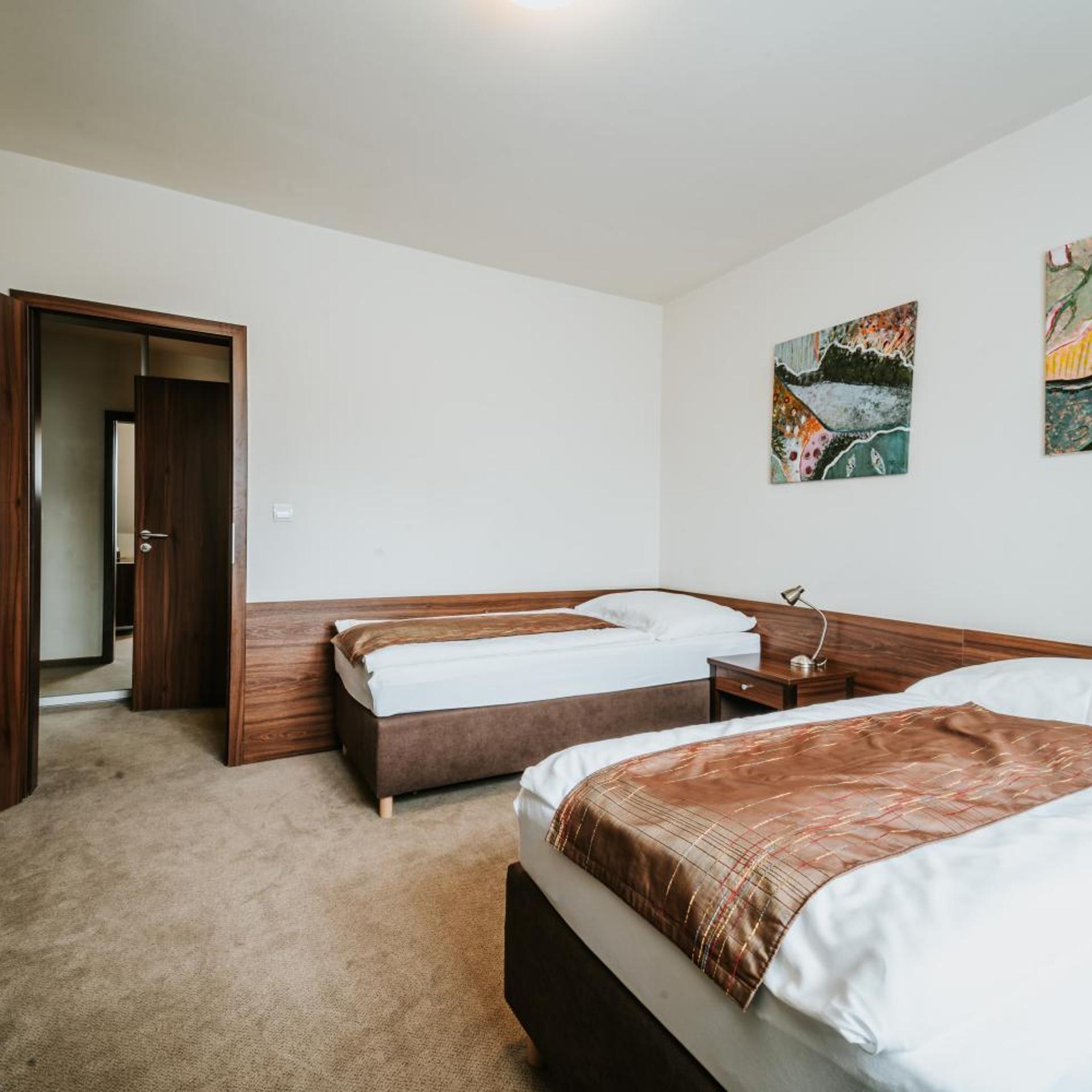 1 Bedroom, Suite, Balcony 3/10