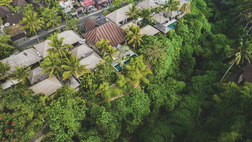 Luwak Ubud Villas 47/50