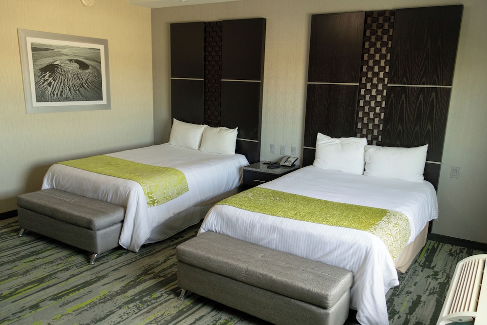 Executive, 2 Queen Beds