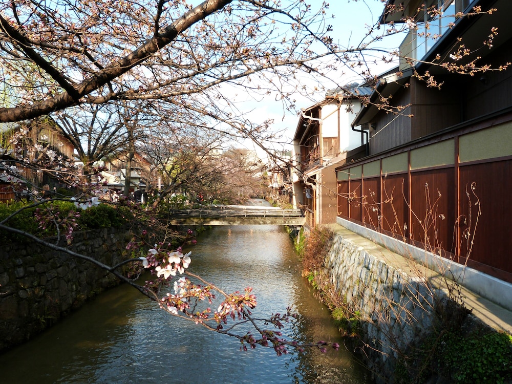 Reikaku Yasaka 22/50